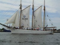 Hanse sail 2010.SANY3787